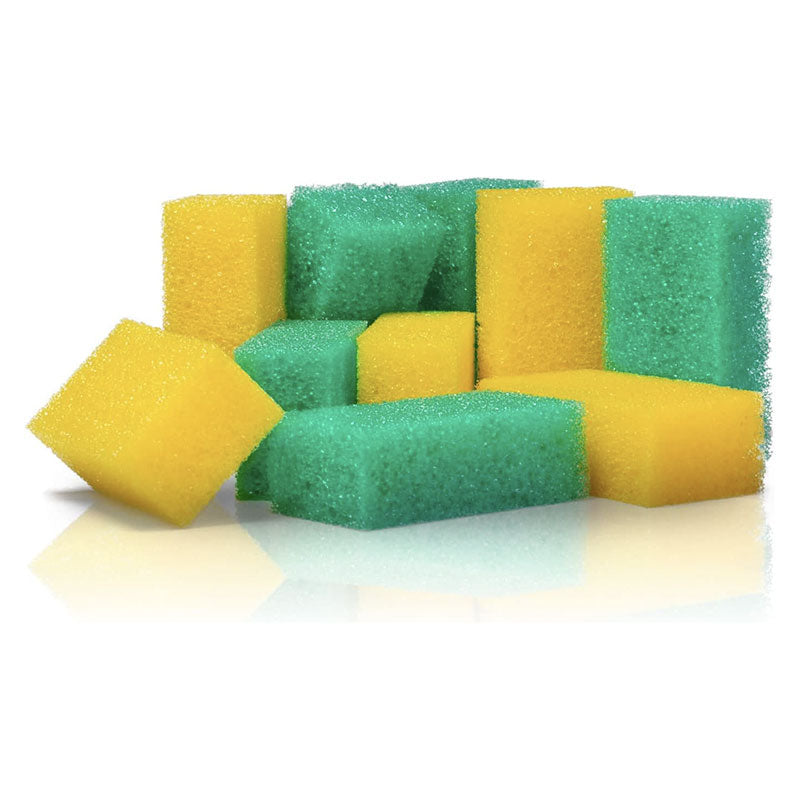 Coppia di spugne alveolate