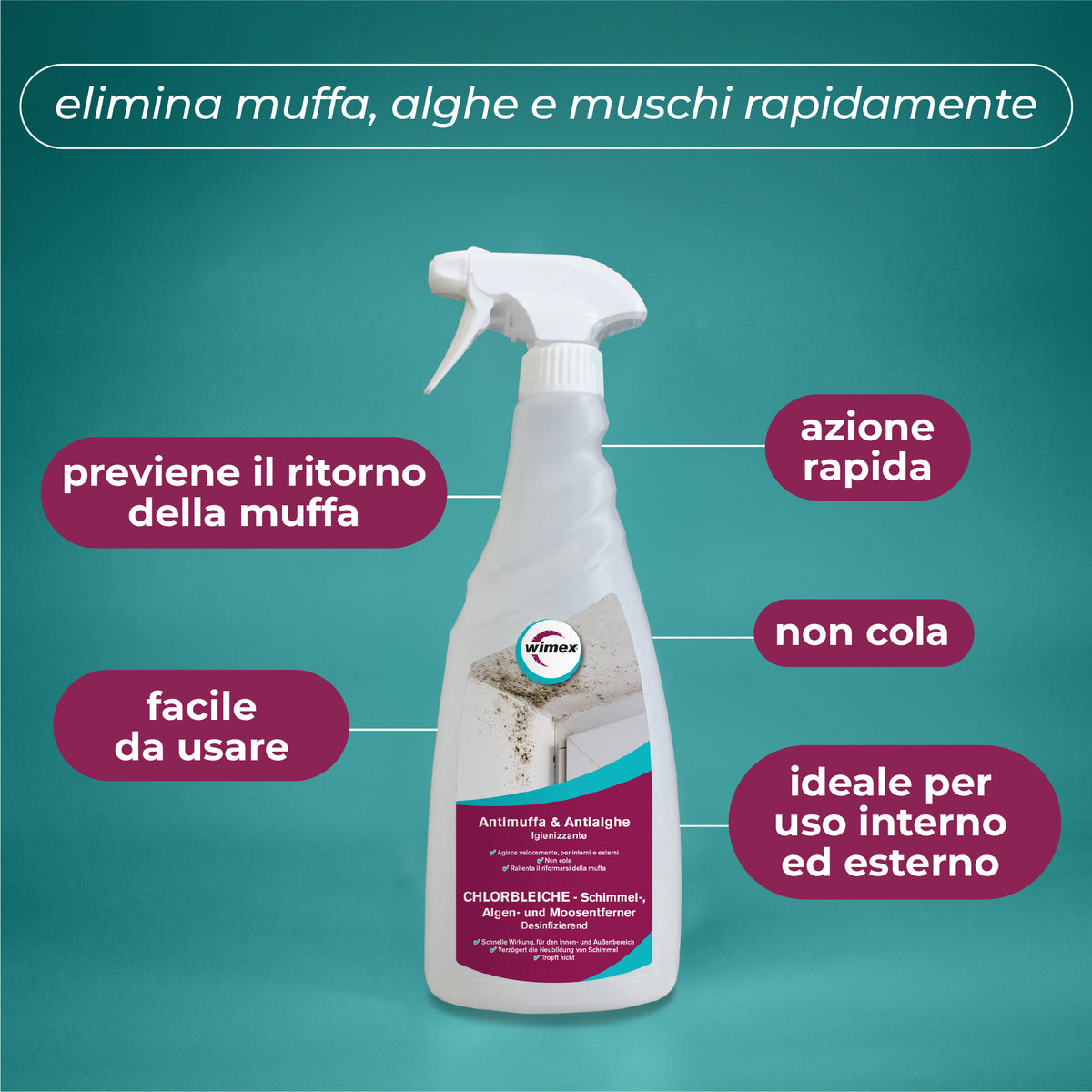 Detersivo Antimuffa, antialghe, antimuschio. Igienizzante. 750 ml