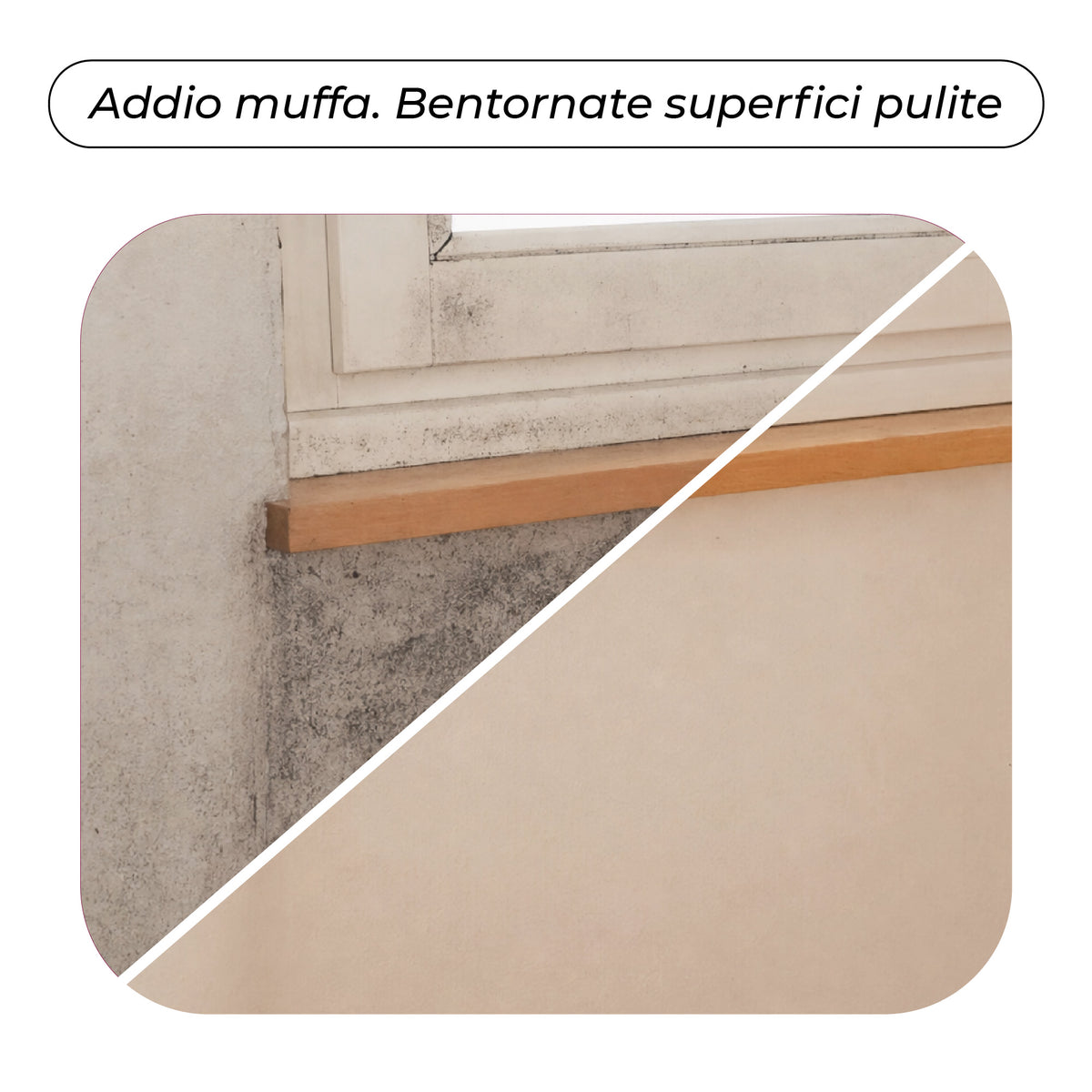 Detersivo Antimuffa, antialghe, antimuschio. Igienizzante. 750 ml