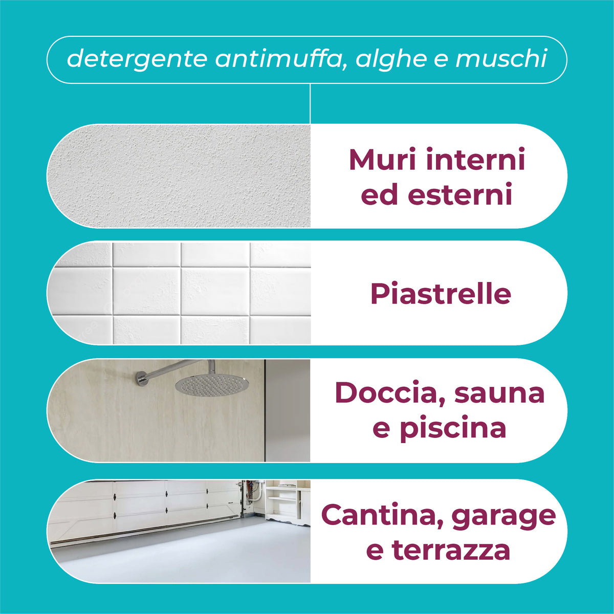Detersivo Antimuffa, antialghe, antimuschio. Igienizzante. 750 ml